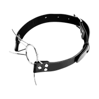 Spider Gag Spider Gag