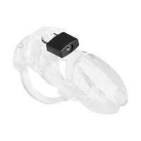 Chastity Plus Chastity Plus