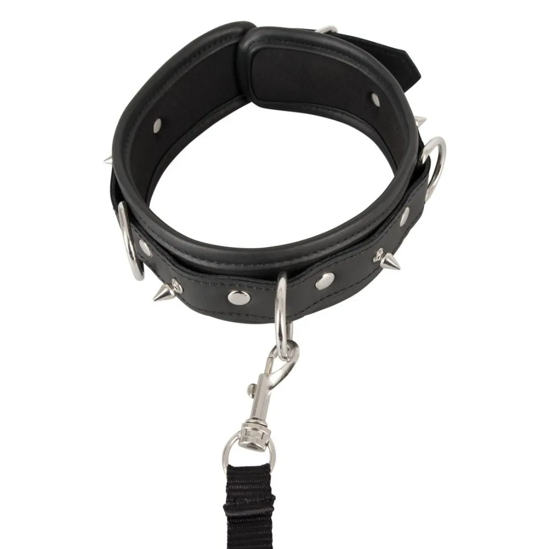 Halsfessel plus abnehmbare Leine, vegan – Bild 5