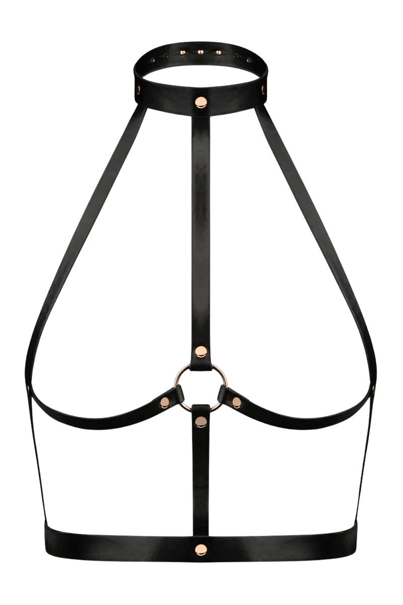 Harness mit Halsband Harness mit Halsband