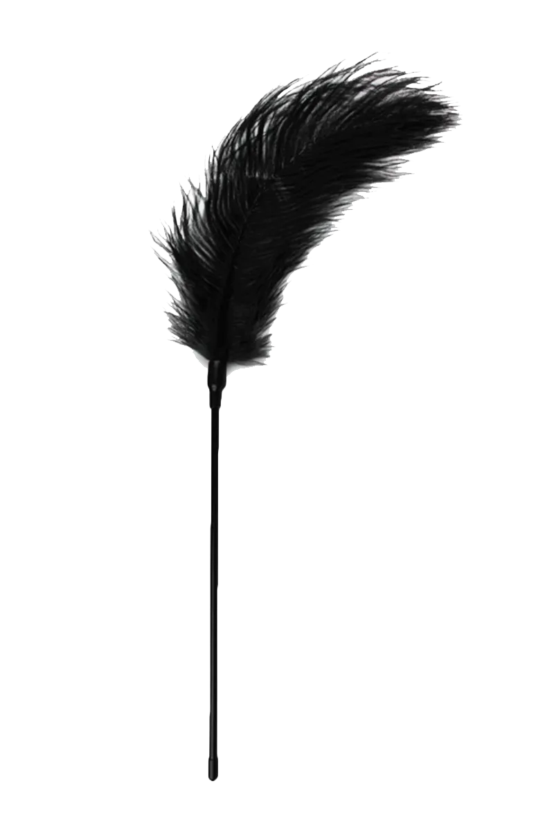 Federkitzler in schwarz Federkitzler in schwarz