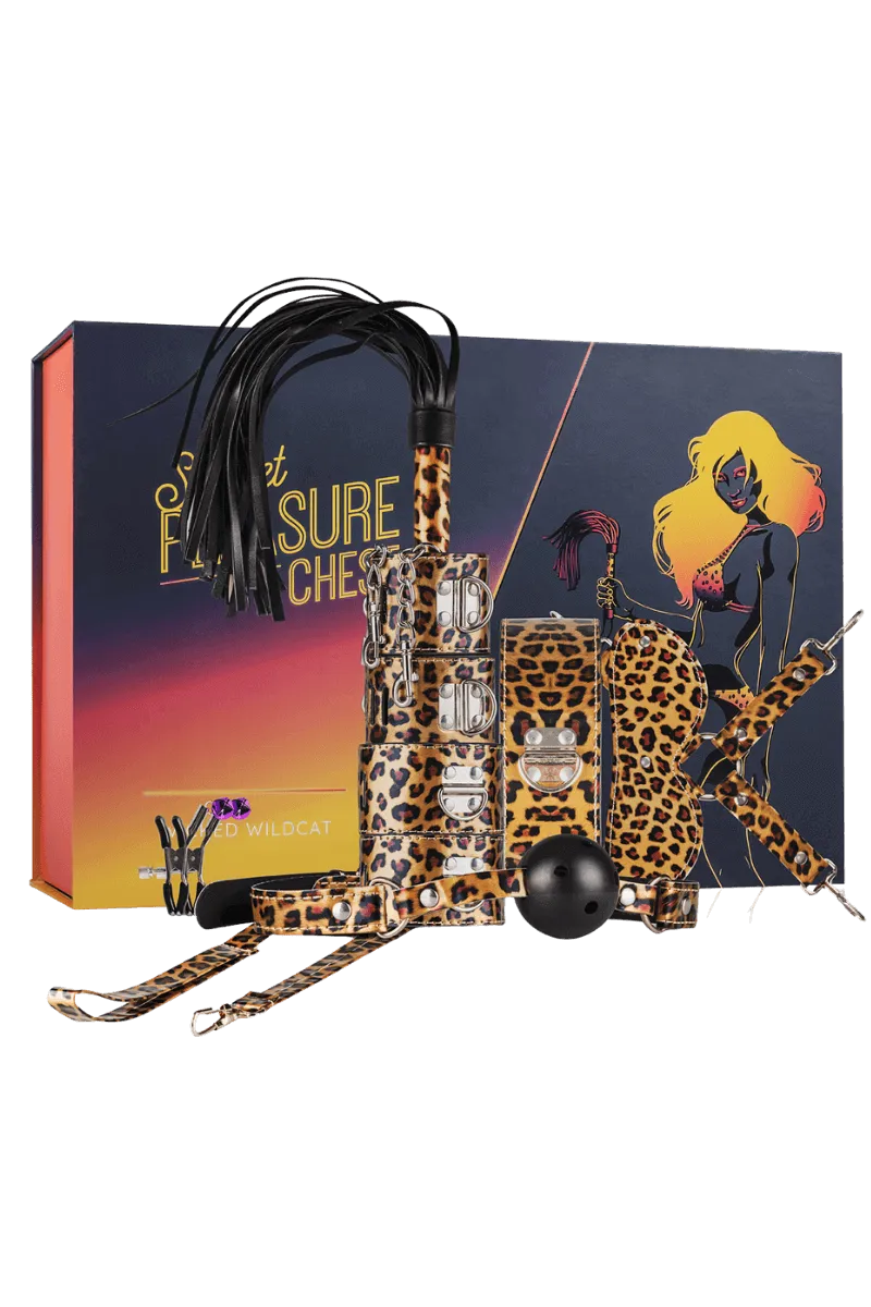 9tlg. BDSM Set in Leo-Optik 9tlg. BDSM Set in Leo-Optik