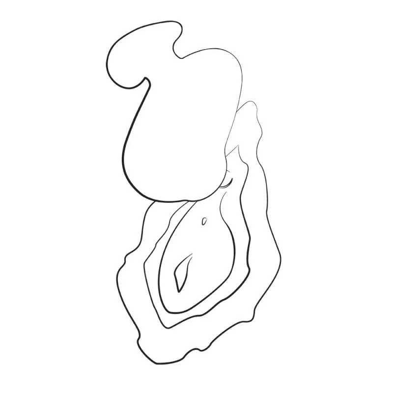 ROMP by Womanizer - Kiss Kompakter Vibrator – Bild 5