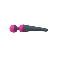 PalmPower Massager