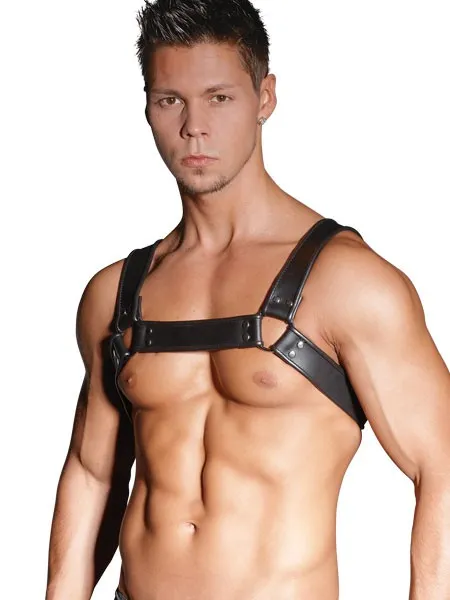 Leder-Harness, schwarz Leder-Harness, schwarz