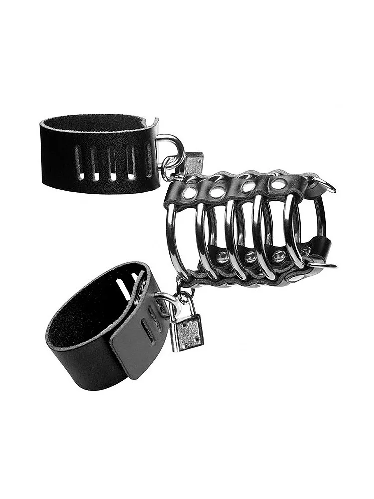 Strict Gates of Hell: Keuschheitskäfig, schwarz/metall Strict Gates of Hell: Keuschheitskäfig, schwarz/metall