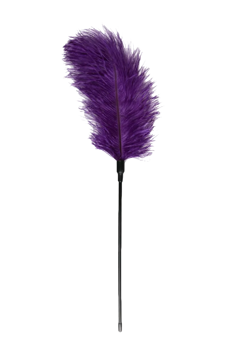 Federkitzler in violett Federkitzler in violett