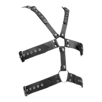 Ledergeschirr mit Schnallen Ledergeschirr mit Schnallen