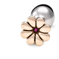 Rosebuds - Blumenkristall Rosebuds - Blumenkristall