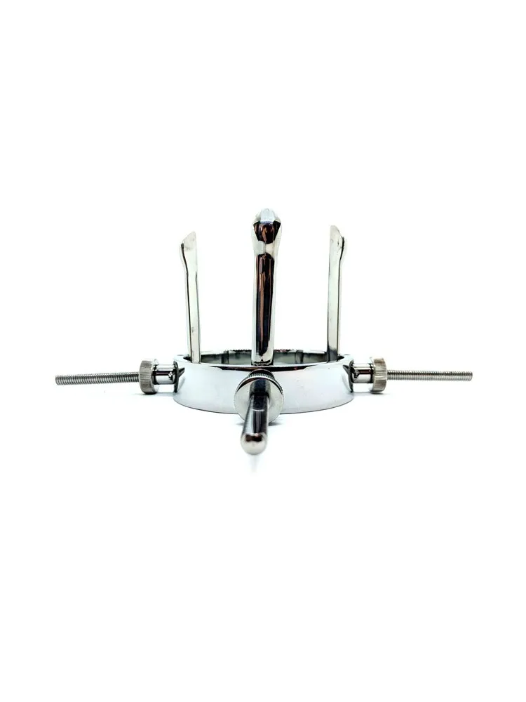 Black Label Stainless Steel Hole Expander: Edelstahl-Analdehner Black Label Stainless Steel Hole Expander: Edelstahl-Analdehner