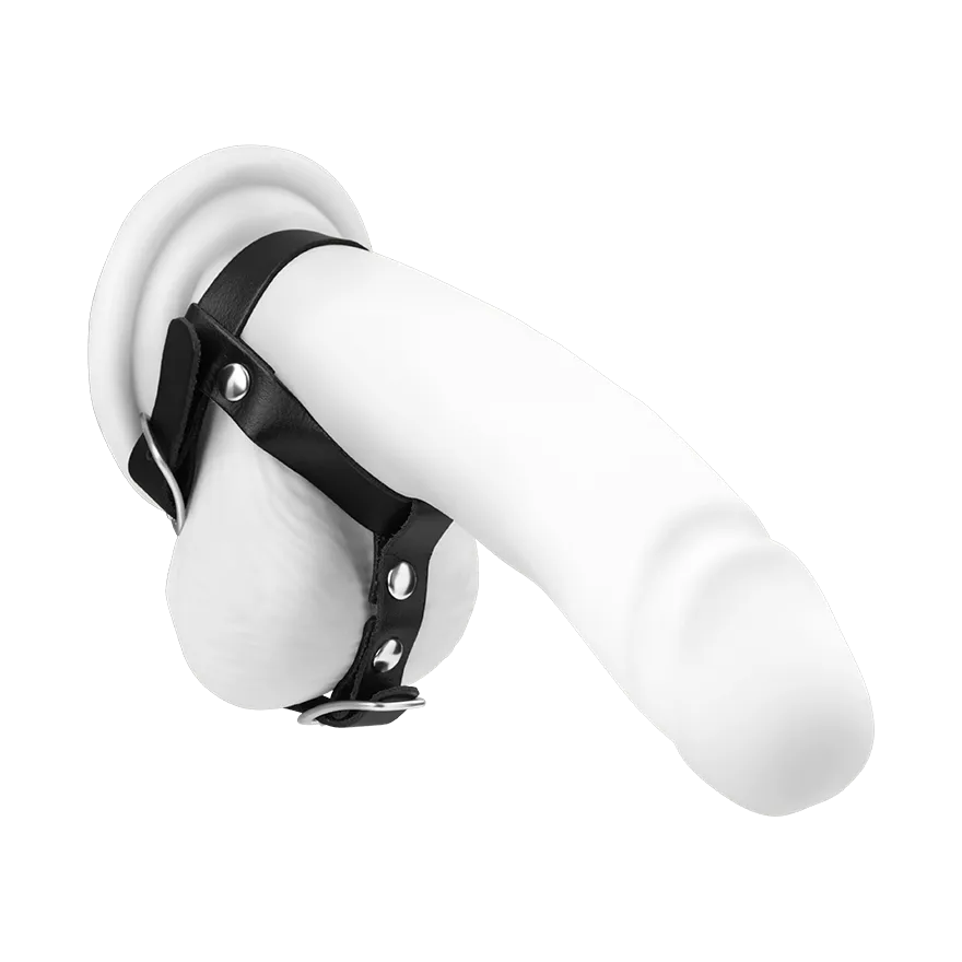 Penis- und Hodengurt aus Leder Penis- und Hodengurt aus Leder