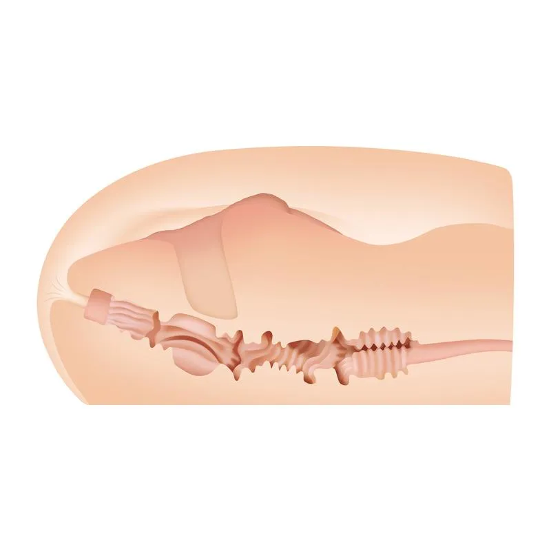 Zero Tolerance »Sasha Grey« Silikon-Masturbator – Bild 4