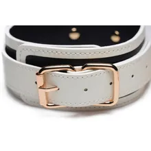 Kink in the Dark - Leuchtendes Halsband mit Gurt