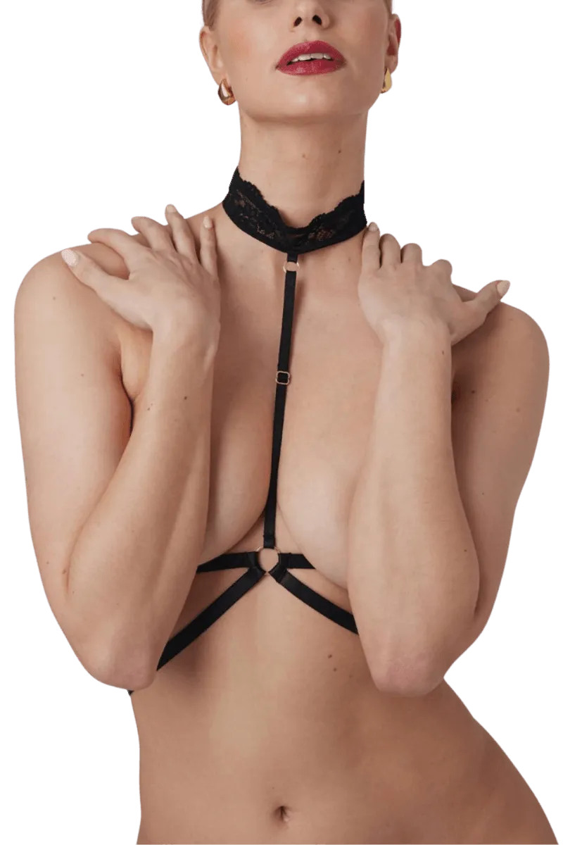 Harness mit Riemchen und Spitzenhalsband Harness mit Riemchen und Spitzenhalsband