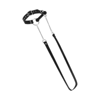 Mundknebel mit Leine Mundknebel mit Leine