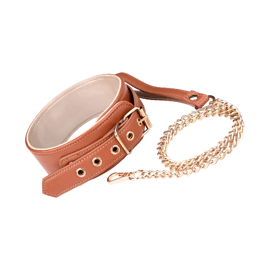 Blaze - Collar and Leash Blaze - Collar and Leash