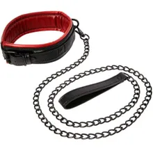 Leine und Halsband aus veganem Leder Leine und Halsband aus veganem Leder