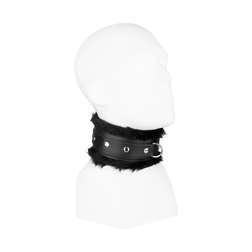 Gepolstertes Halsband, S/M Gepolstertes Halsband, S/M