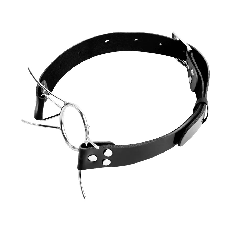 Spider Gag Spider Gag