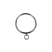 Stainless Steal Collar (with Case) Stainless Steal Collar (with Case)