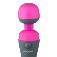PalmPower Massager PalmPower Massager