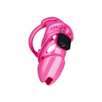 Chastity Standard Chastity Standard