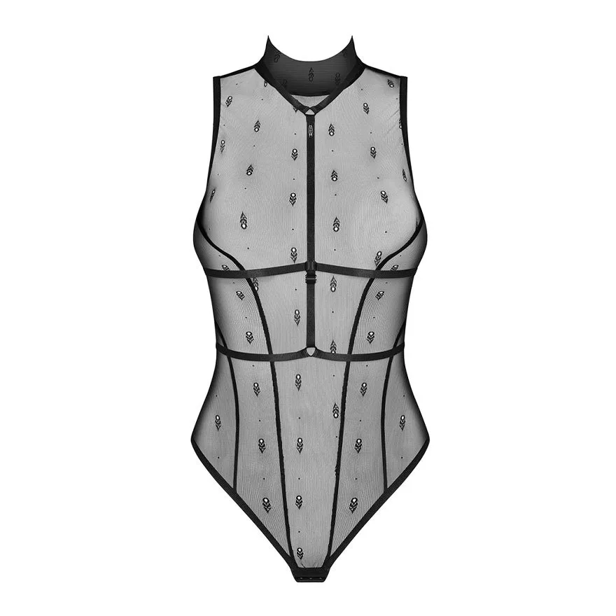 Anniverse Special - Teddy & Harness Anniverse Special - Teddy & Harness