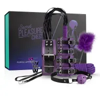 Secret Pleasure Chest X Bedroom fantasies - Kiste für geheime Vergnügen - Lila Lehrling Secret Pleasure Chest X Bedroom fantasies - Kiste für geheime Vergnügen - Lila Lehrling