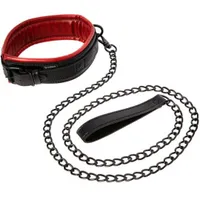 Leine und Halsband aus veganem Leder Leine und Halsband aus veganem Leder