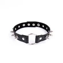 Halsband mit Metall Spikes Halsband mit Metall Spikes