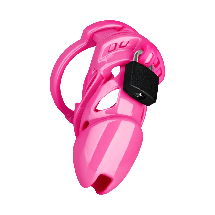 Chastity Standard Chastity Standard