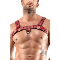 Brustharness rot Brustharness rot