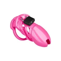 Chastity Plus Chastity Plus