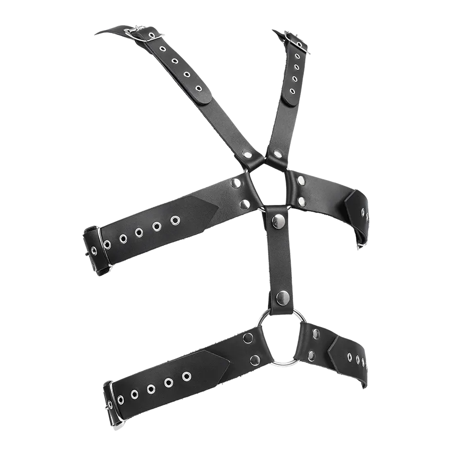 Ledergeschirr mit Schnallen Ledergeschirr mit Schnallen