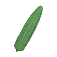 Gurke-Minivibrator, 12,3 cm Gurke-Minivibrator, 12,3 cm