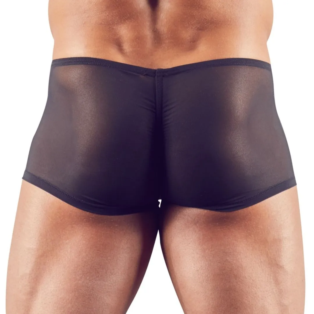 Semitransparente Pants mit Schwellfunktion – Bild 4