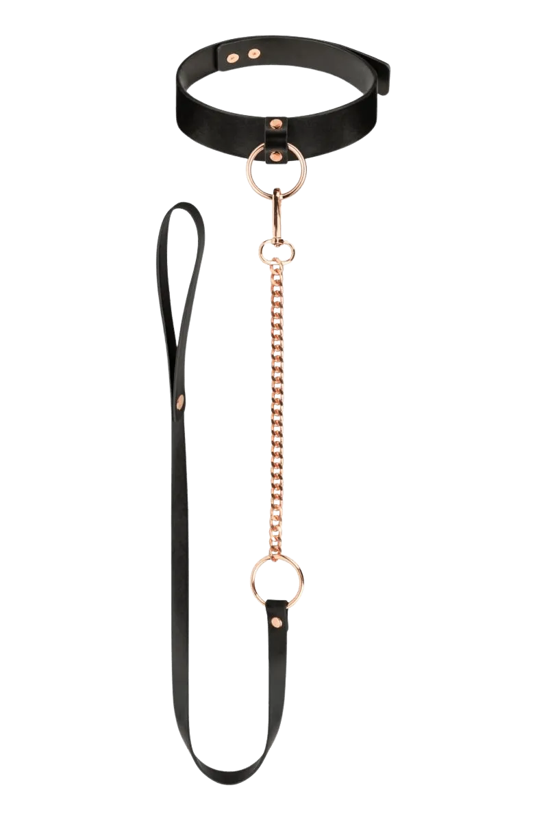 Halsband mit Leine in Farben schwarz und roségold Halsband mit Leine in Farben schwarz und roségold