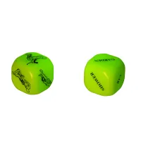 Love Dice Kamasutra Glow in the Dark Set - Englische Version Love Dice Kamasutra Glow in the Dark Set - Englische Version