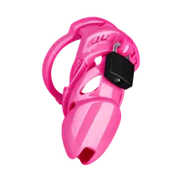 Chastity Standard Chastity Standard