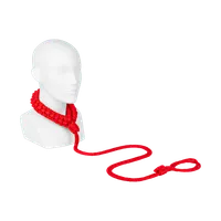 Halsband inkl Leine Halsband inkl Leine