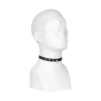 Nietenhalsband Nietenhalsband