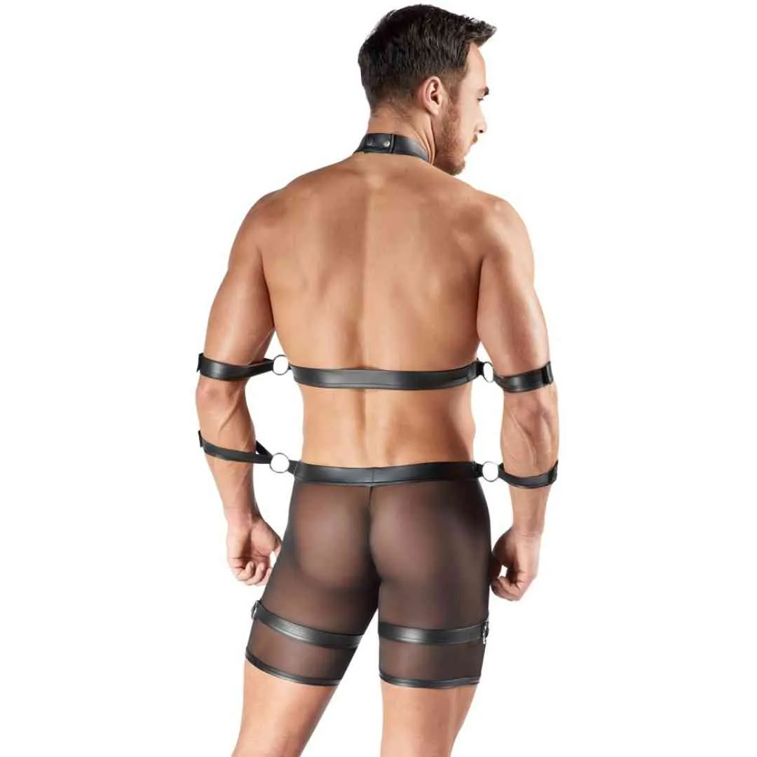 Harness-Pants und Brust-Harness – Bild 3