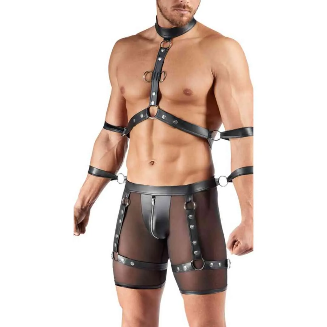 Harness-Pants und Brust-Harness – Bild 4