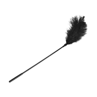 Large Feather Tickler Large Feather Tickler