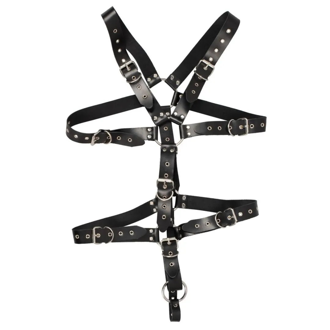 Harness aus Leder mit Penis- oder Hodenring Harness aus Leder mit Penis- oder Hodenring