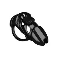 Chastity Standard Chastity Standard