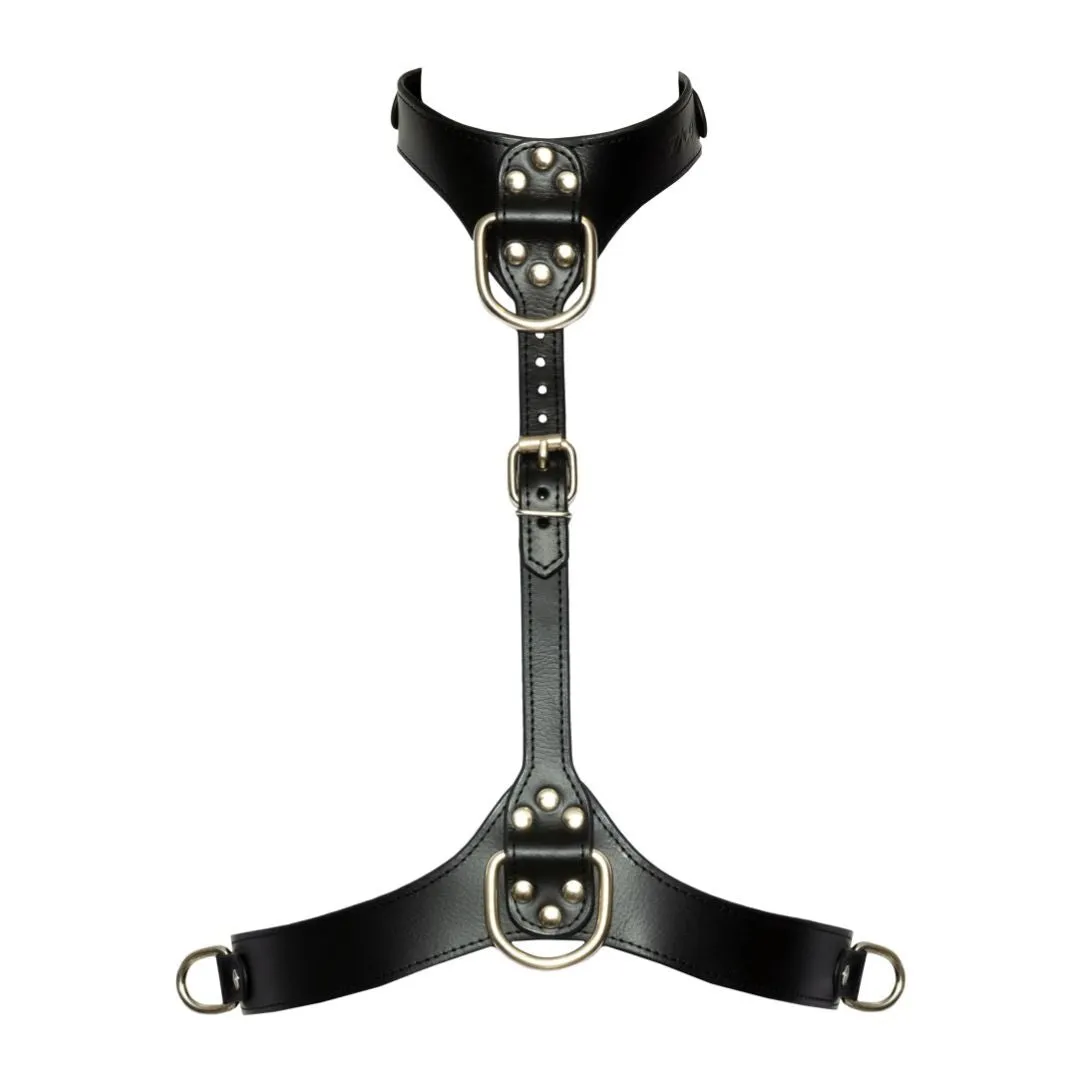 Brustharness in stilvoller Lederoptik Brustharness in stilvoller Lederoptik