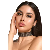 Halsband mit Strasssteinen Halsband mit Strasssteinen