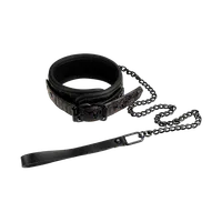 Collar and Leash Collar and Leash