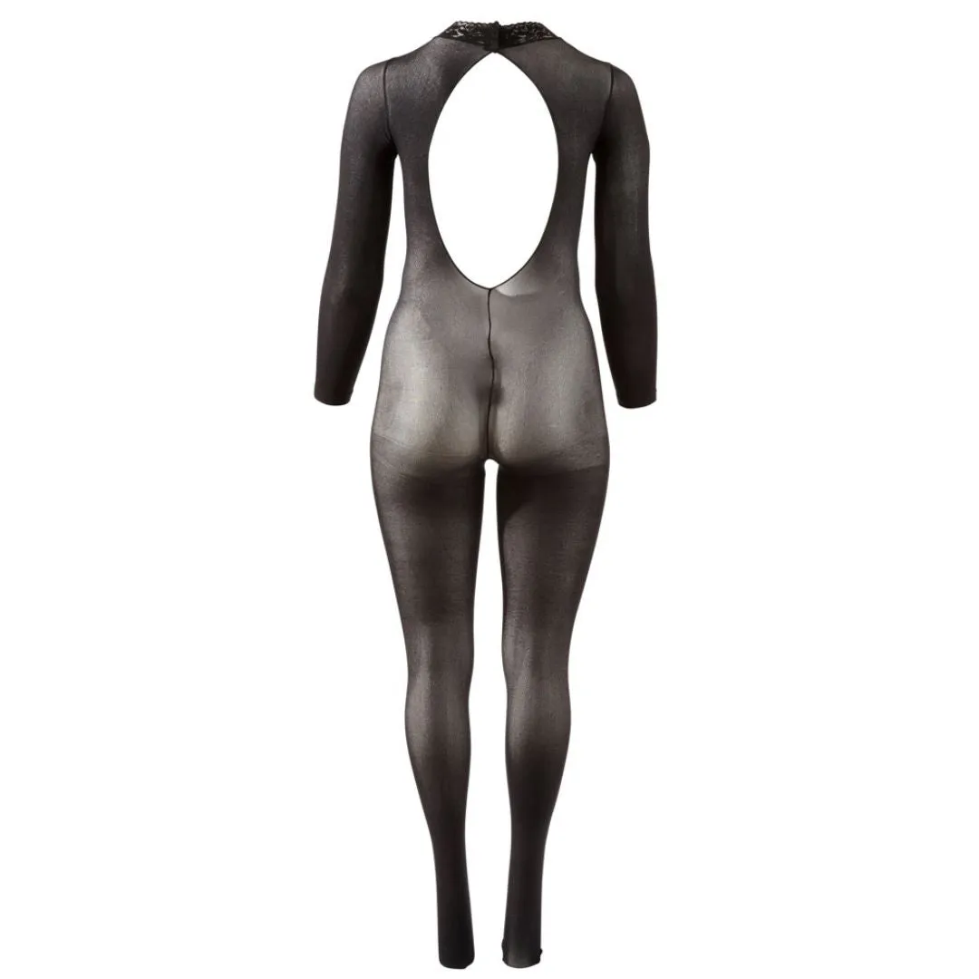 Transparenter Langarm-Catsuit – Bild 5
